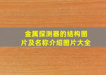 金属探测器的结构图片及名称介绍图片大全