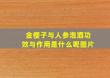 金樱子与人参泡酒功效与作用是什么呢图片