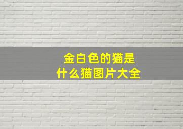 金白色的猫是什么猫图片大全