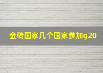 金砖国家几个国家参加g20