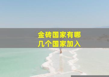 金砖国家有哪几个国家加入