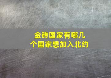 金砖国家有哪几个国家想加入北约