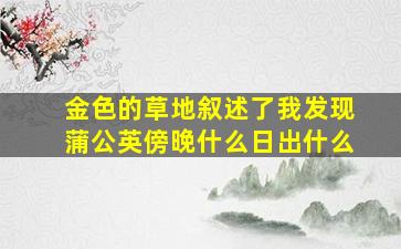 金色的草地叙述了我发现蒲公英傍晚什么日出什么