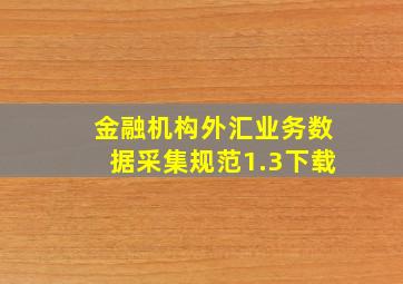 金融机构外汇业务数据采集规范1.3下载