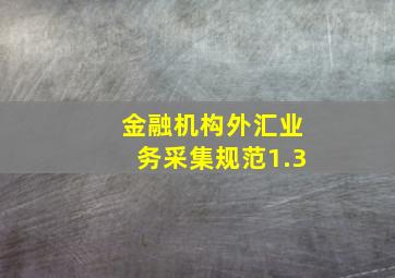 金融机构外汇业务采集规范1.3