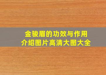 金骏眉的功效与作用介绍图片高清大图大全