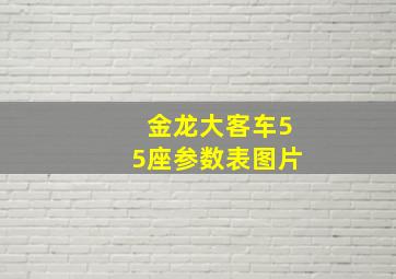 金龙大客车55座参数表图片