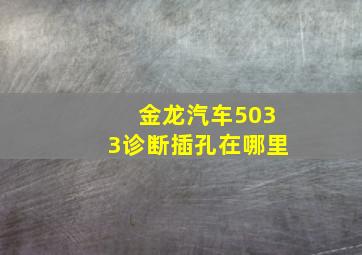 金龙汽车5033诊断插孔在哪里