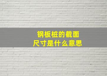 钢板桩的截面尺寸是什么意思