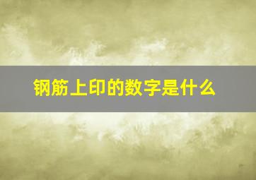 钢筋上印的数字是什么