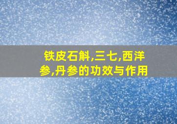 铁皮石斛,三七,西洋参,丹参的功效与作用