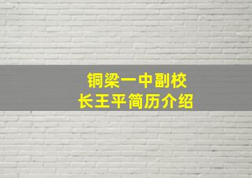 铜梁一中副校长王平简历介绍