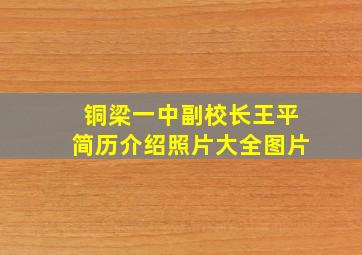 铜梁一中副校长王平简历介绍照片大全图片