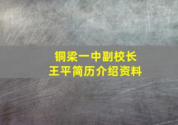 铜梁一中副校长王平简历介绍资料