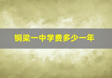 铜梁一中学费多少一年