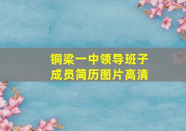 铜梁一中领导班子成员简历图片高清