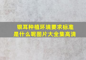 银耳种植环境要求标准是什么呢图片大全集高清