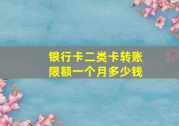 银行卡二类卡转账限额一个月多少钱