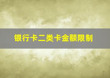 银行卡二类卡金额限制