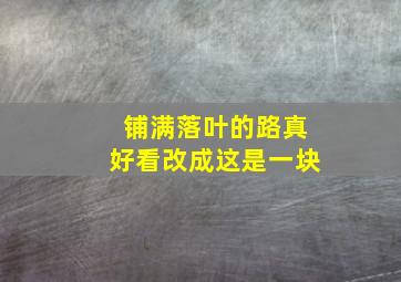 铺满落叶的路真好看改成这是一块