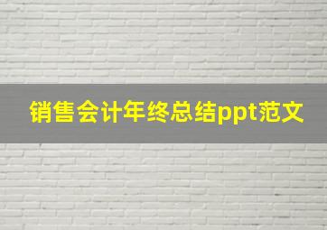 销售会计年终总结ppt范文