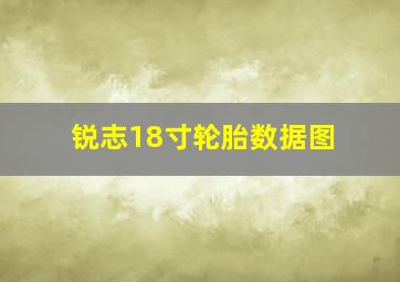 锐志18寸轮胎数据图