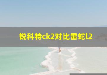 锐科特ck2对比雷蛇l2