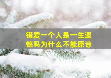 错爱一个人是一生遗憾吗为什么不能原谅