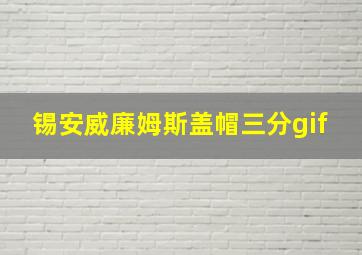 锡安威廉姆斯盖帽三分gif