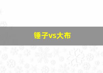 锤子vs大布