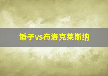 锤子vs布洛克莱斯纳