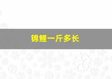 锦鲤一斤多长