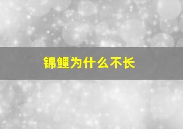 锦鲤为什么不长