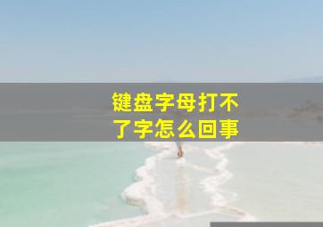 键盘字母打不了字怎么回事