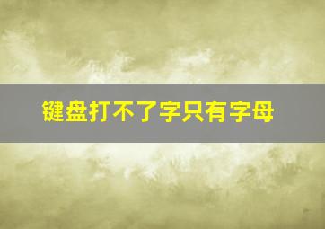 键盘打不了字只有字母