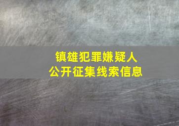 镇雄犯罪嫌疑人公开征集线索信息