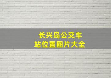 长兴岛公交车站位置图片大全