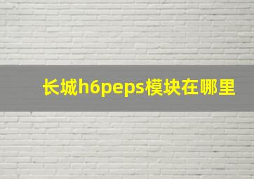 长城h6peps模块在哪里