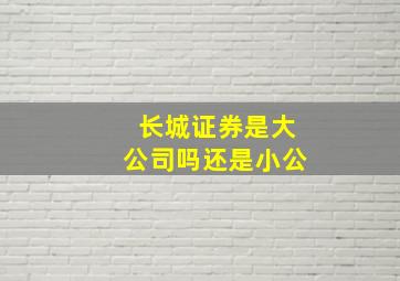 长城证券是大公司吗还是小公