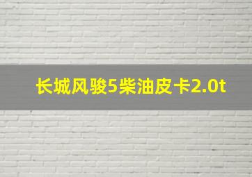 长城风骏5柴油皮卡2.0t