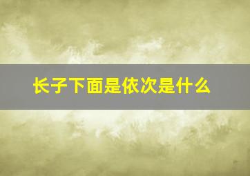 长子下面是依次是什么