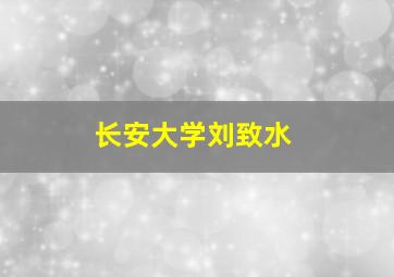 长安大学刘致水