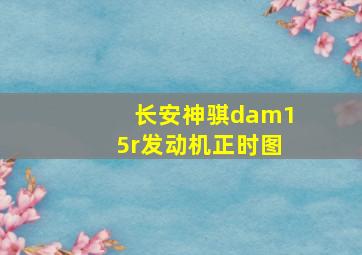 长安神骐dam15r发动机正时图