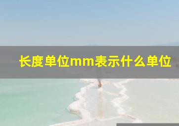 长度单位mm表示什么单位