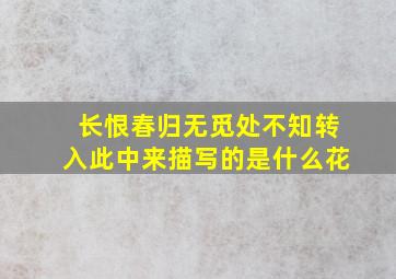 长恨春归无觅处不知转入此中来描写的是什么花