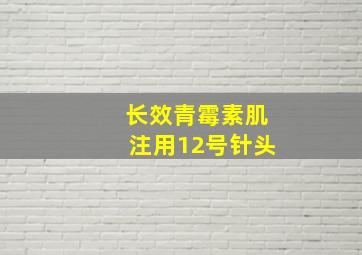 长效青霉素肌注用12号针头