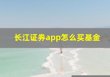 长江证券app怎么买基金