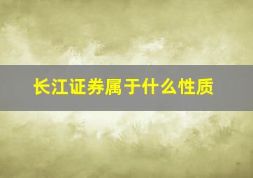 长江证券属于什么性质