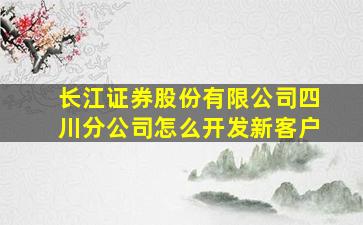 长江证券股份有限公司四川分公司怎么开发新客户