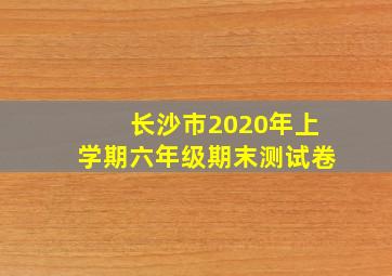 长沙市2020年上学期六年级期末测试卷